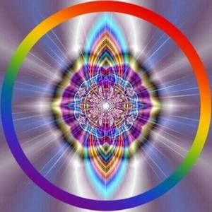 Meet your Posher, Lolly